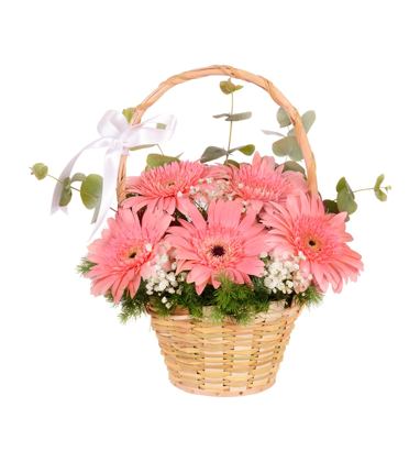 Pembe Gerbera Sepeti